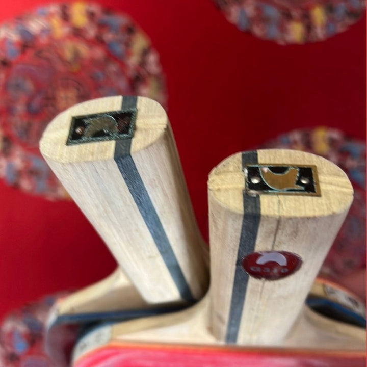 729 Giant bear G310 bat double pips in