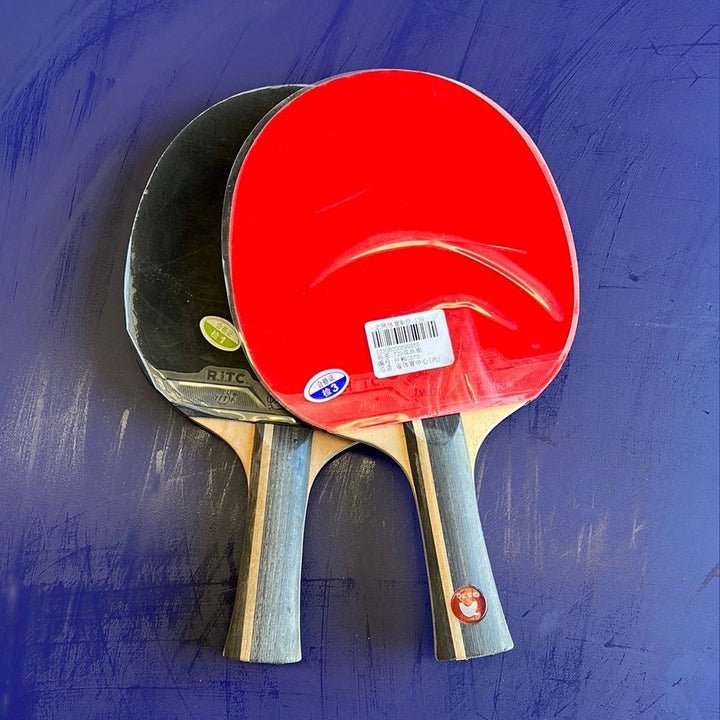 729 Giant bear G570 bat double pips in