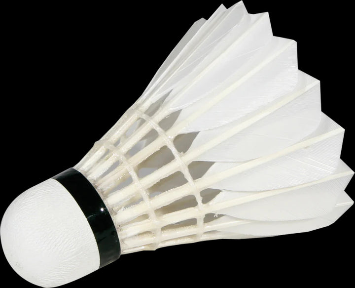 VICTOR 12 PCS MASTER ACE Goose Feather Badminton Shuttlecock