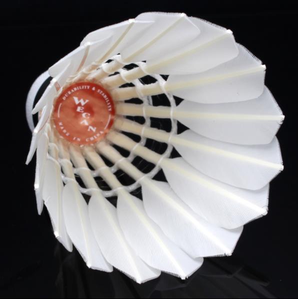 WECAN 12 PCS Red Badminton Duck Feather Badminton Shuttlecock