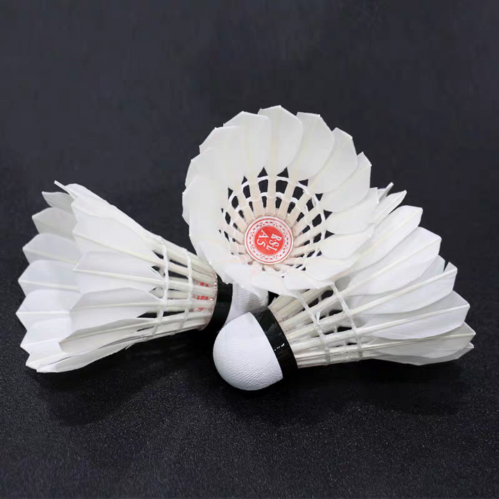 RSL 12 PCS RSL A5 Badminton Goose Feather Badminton Shuttlecock