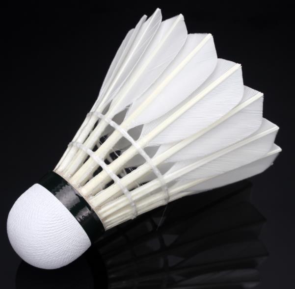 WECAN 12 PCS Red Badminton Duck Feather Badminton Shuttlecock