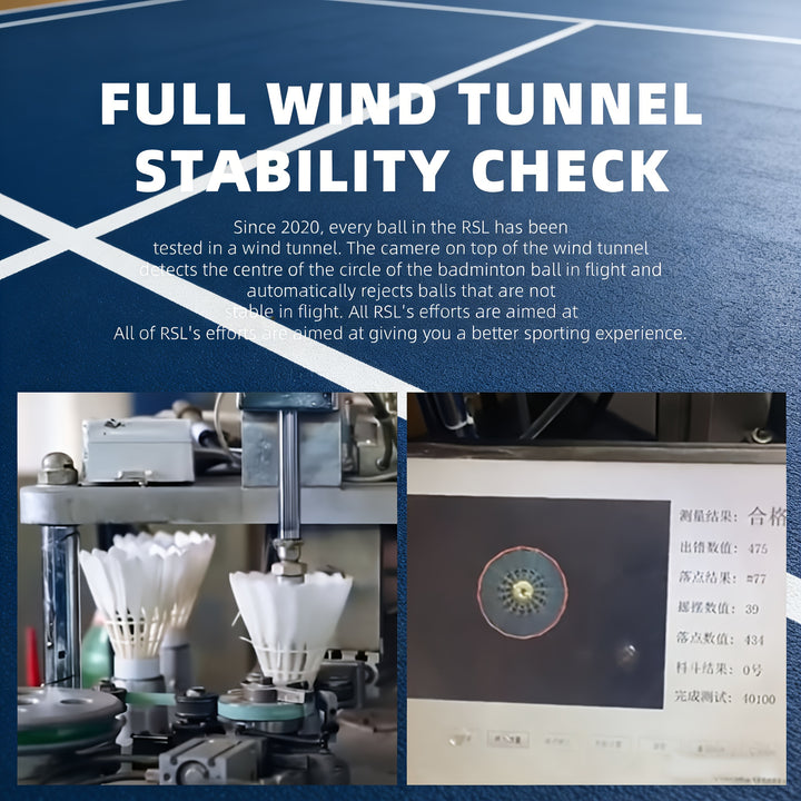 SPPHONEIX D1 Badminton Shuttlecocks Goose Feather 12pcs  Professional 3 In 1