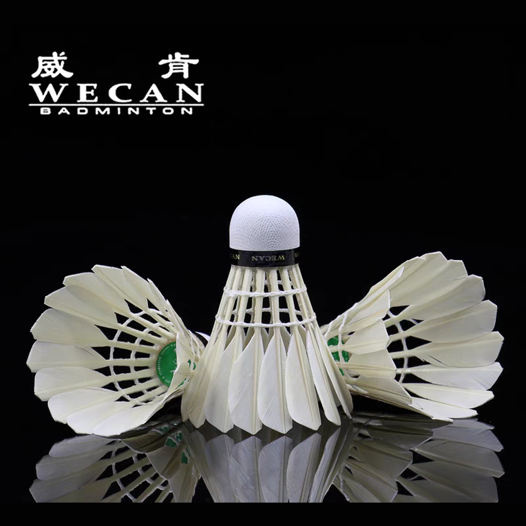 WECAN 12 PCS Green Badminton Goose Feather Badminton Shuttlecock