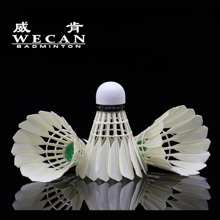 WECAN 12 PCS Green Badminton Goose Feather Badminton Shuttlecock