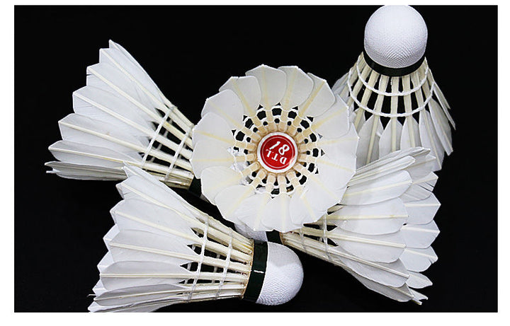 RSL 12 PCS DTL 81 Badminton Duck Feather Badminton Shuttlecock