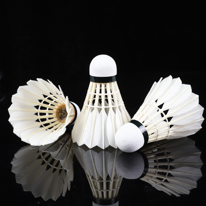 RSL 12 PCS 金龙 Badminton Duck Feather Badminton Shuttlecock