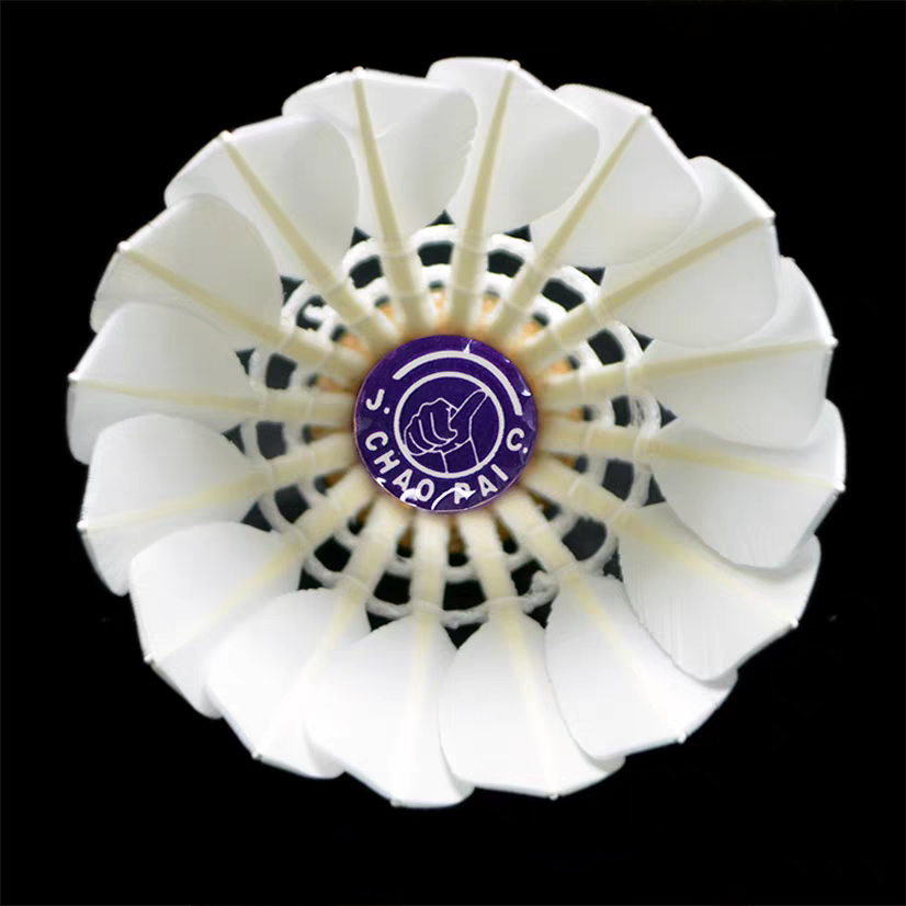 CHAOPAI 12 PCS Purple Chao Pai Goose Feather Badminton Shuttlecock