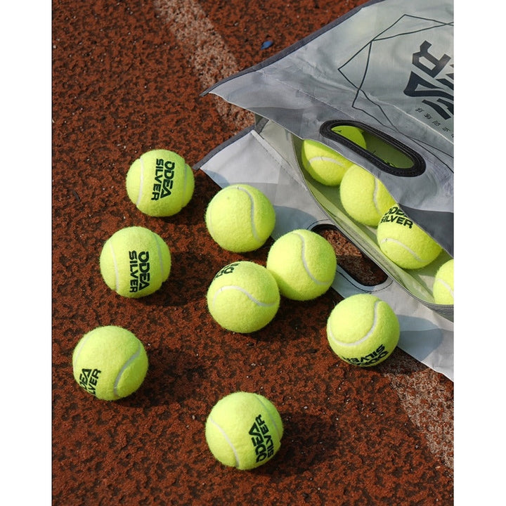 ODEA Silver Training Tennis Balls 60PCS (Rebound 135-147CM ITF)