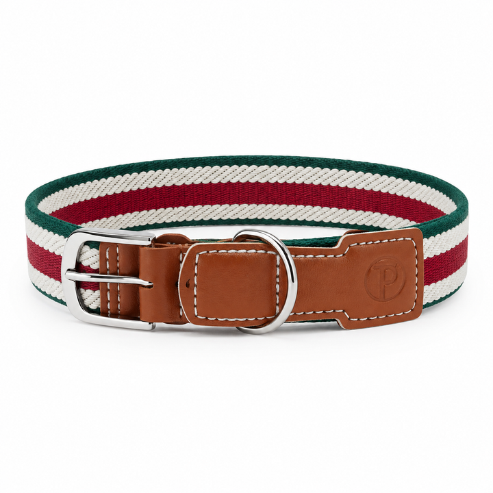 Adjustable Stretch Woven Dog Collar with Leather Accents and Metal D-Ring