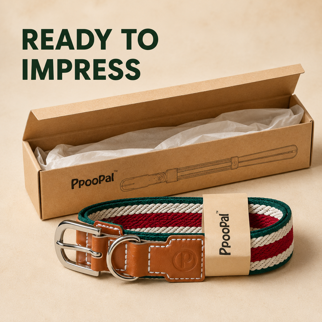 Adjustable Stretch Woven Dog Collar with Leather Accents and Metal D-Ring