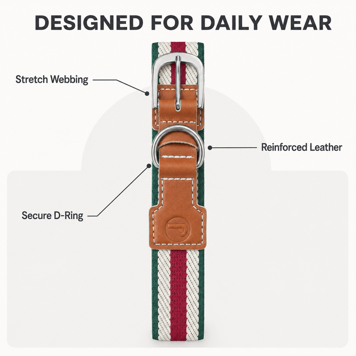 Adjustable Stretch Woven Dog Collar with Leather Accents and Metal D-Ring