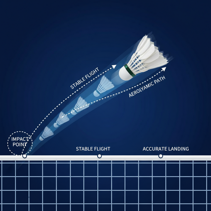 SPPHONEIX 910 Badminton Shuttlecocks Goose Feather 12PCS（king of value）