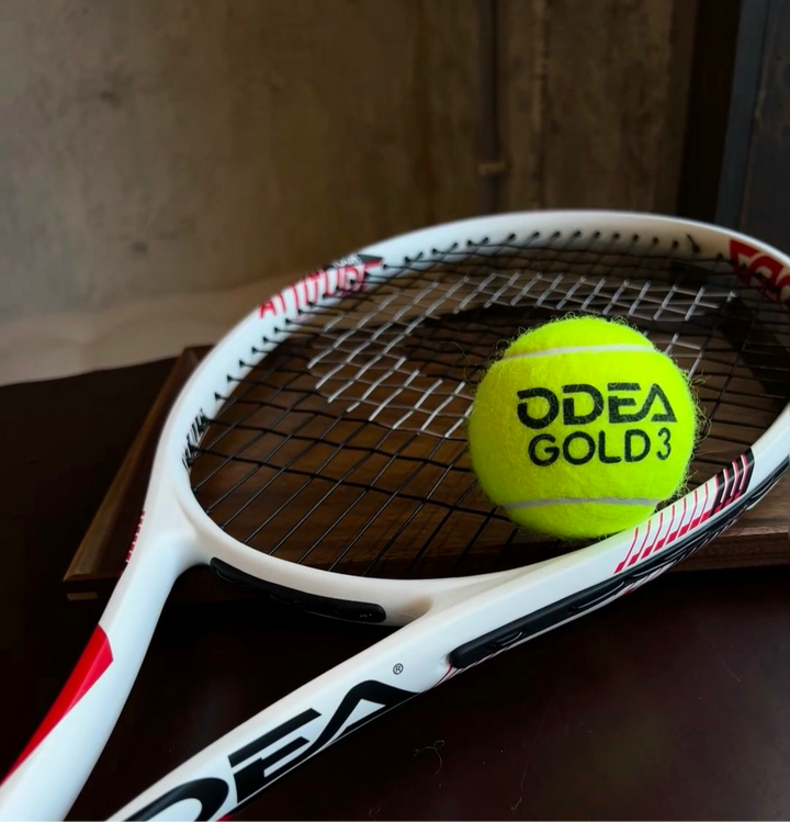 ODEA Gold Training Tennis Balls  (Rebound 140-148CM ITF) 60 Pcs