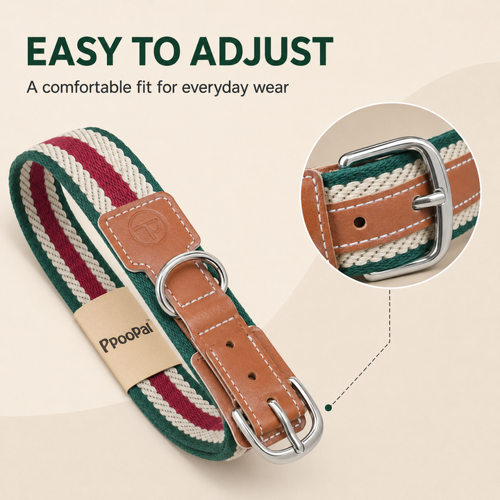 Adjustable Stretch Woven Dog Collar with Leather Accents and Metal D-Ring
