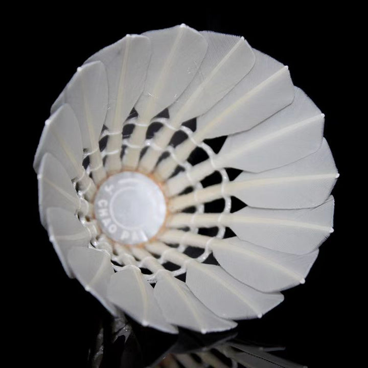 CHAOPAI 12 PCS  Silver Chao Pai Duck Feather Badminton Shuttlecock