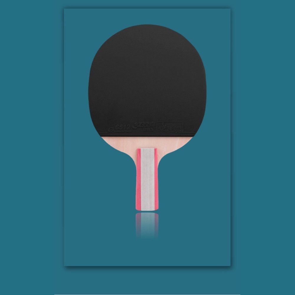 DHS 1 Star H1006,H1002 Table Tennis Bat Racket