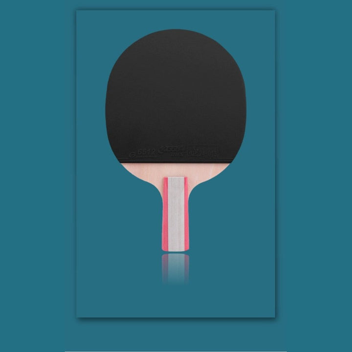 DHS 1 Star H1006,H1002 Table Tennis Bat Racket