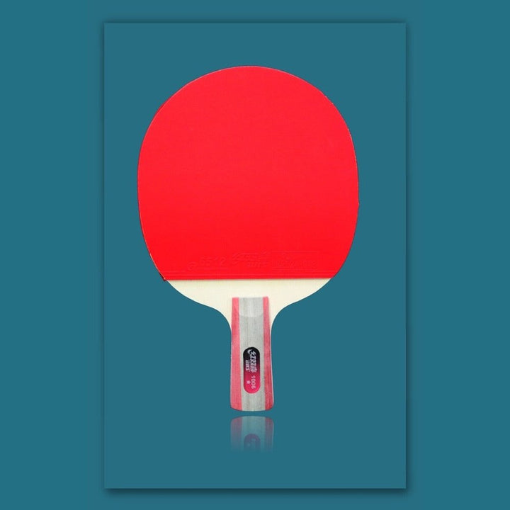 DHS 1 Star H1006,H1002 Table Tennis Bat Racket