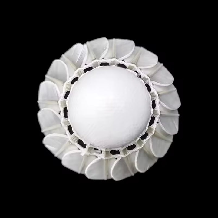 HUAMEI 12 PCS GT800 Aeroplane Goose Feather Badminton Shuttlecock