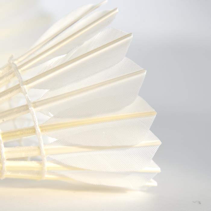 WONG 12 PCS ELITE Badminton Goose Feather Badminton Shuttlecock