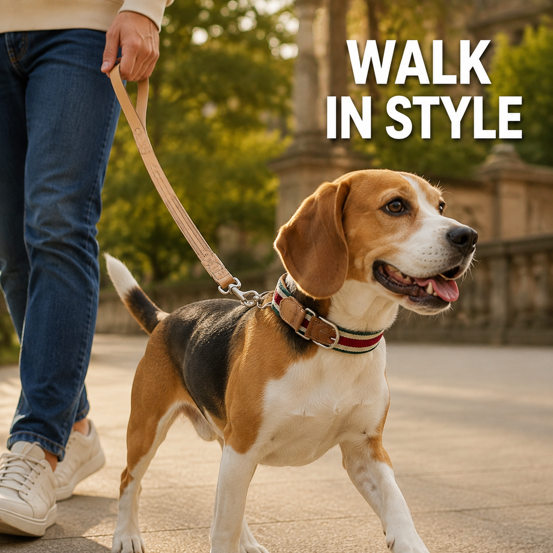 Adjustable Stretch Woven Dog Collar with Leather Accents and Metal D-Ring