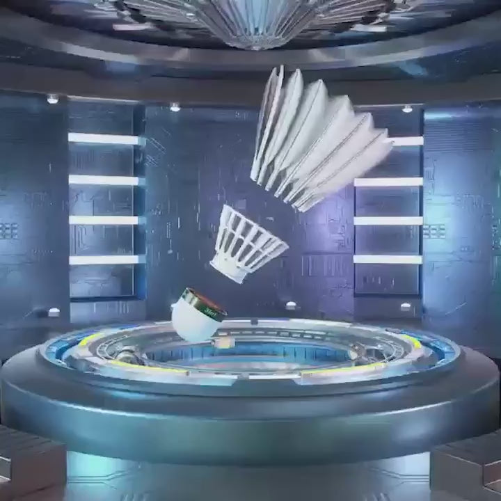 SPPHONEIX 910 Badminton Shuttlecocks Goose Feather 12PCS（king of value）