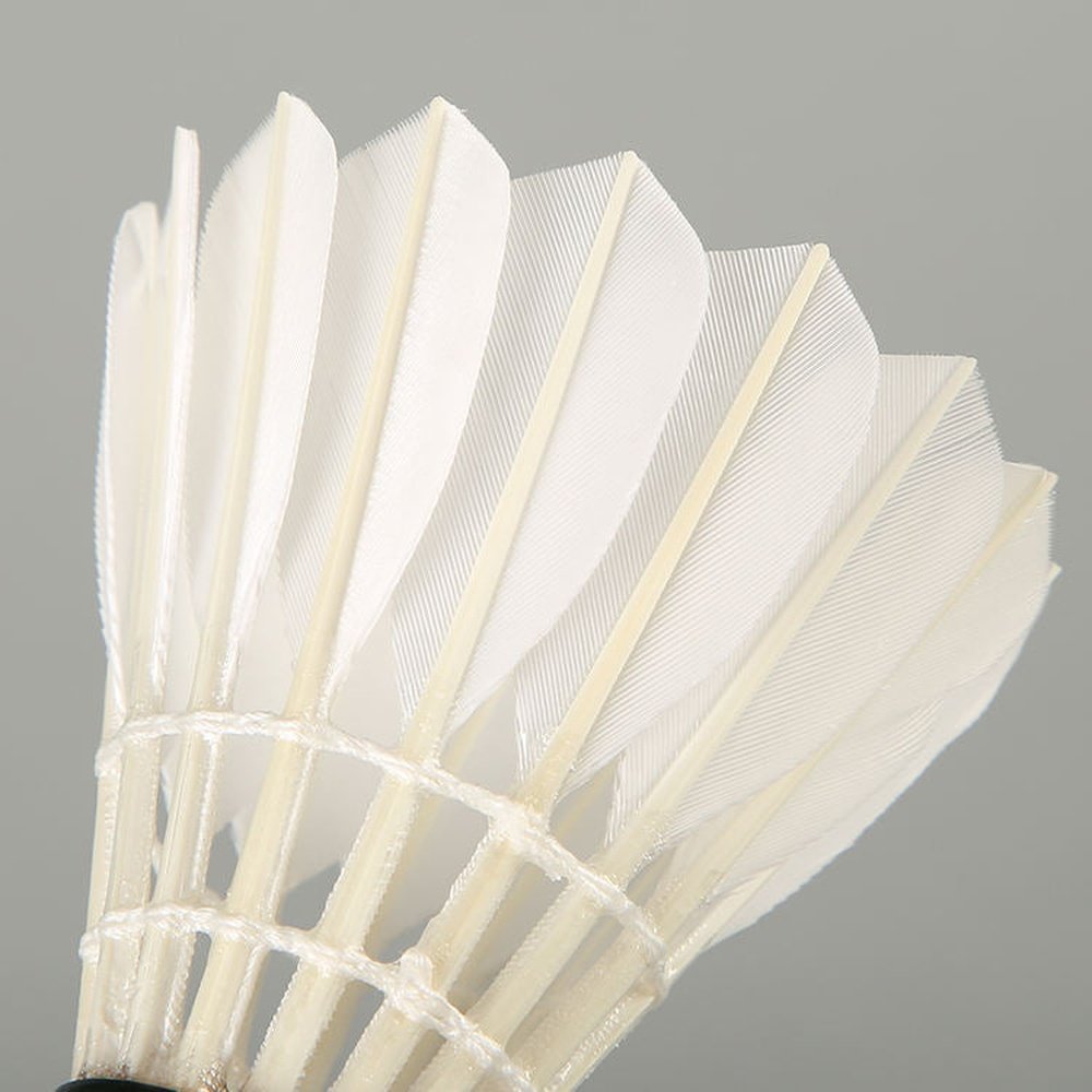 Dickes Durable Duck/Goose Feather Badminton Shuttlecocks 3-Pack - 3.81 RMB Shipped Dickes Durable Duck/Goose Feather Badminton Shuttlecocks 3-Pack - 3.81 RMB Shipped