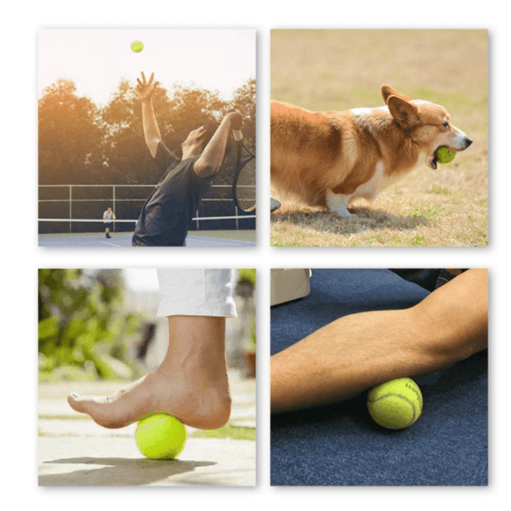 ODEA Gold Training Tennis Balls  (Rebound 140-148CM ITF) 60 Pcs