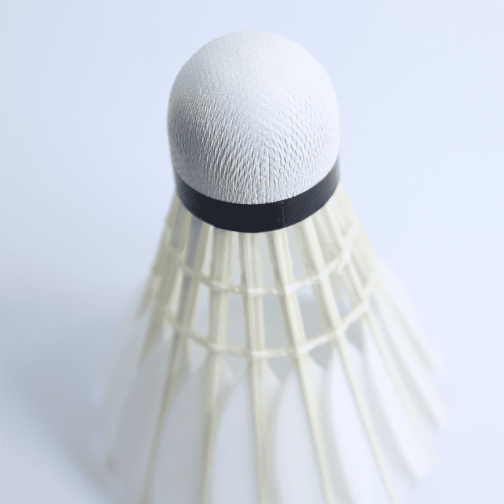 SPPHONEIX Black Badminton Shuttlecocks Gooes Feather (Tournament LEVEL)